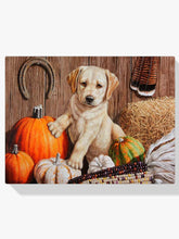 Diamantmalerei - Kürbisernte-Welpe