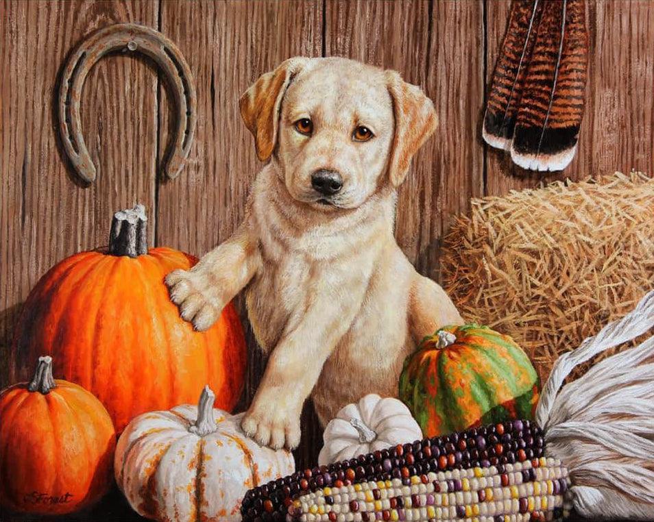 Diamantmalerei - Kürbisernte-Welpe