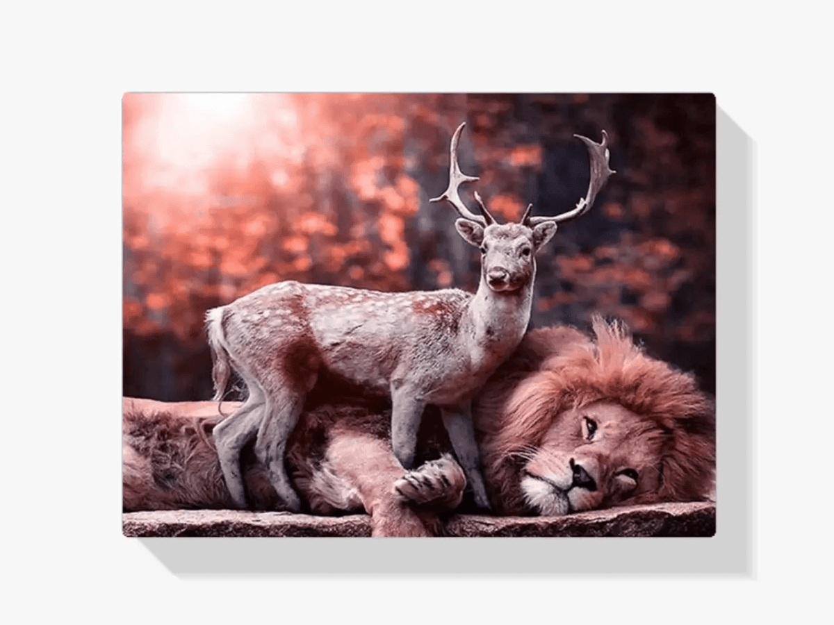 Diamantmalerei Hirsch auf Löwe - SEOS Shop ®