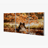Diamond Painting Hund im Wald 3-teilig - SEOS Shop ®
