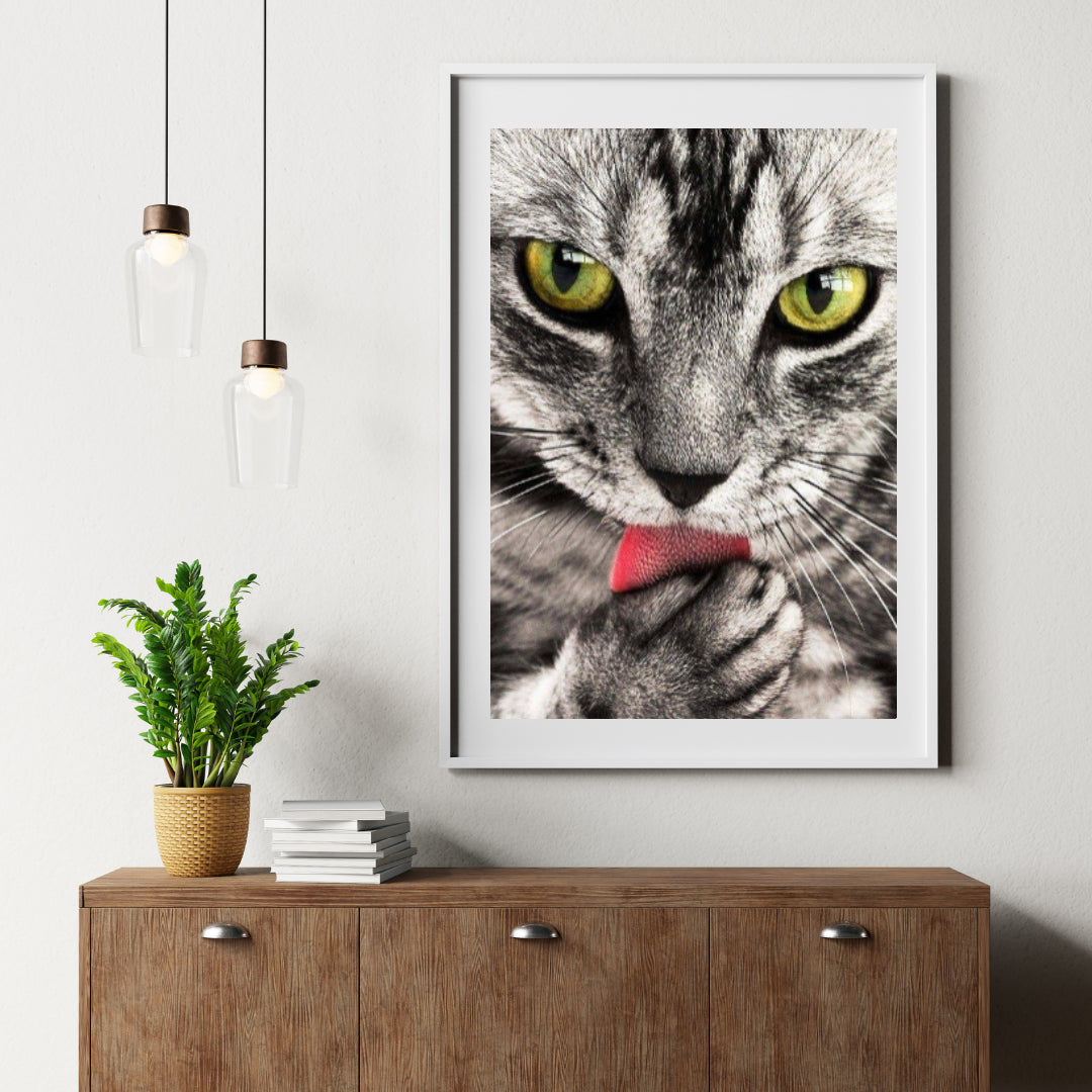 Diamond Painting Katze leckt Hand - SEOS Shop ®