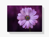 Diamantmalerei Lila Blume - SEOS Shop ®