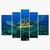 Diamond Painting Schildkröte im Meer 5-teilig - SEOS Shop ®