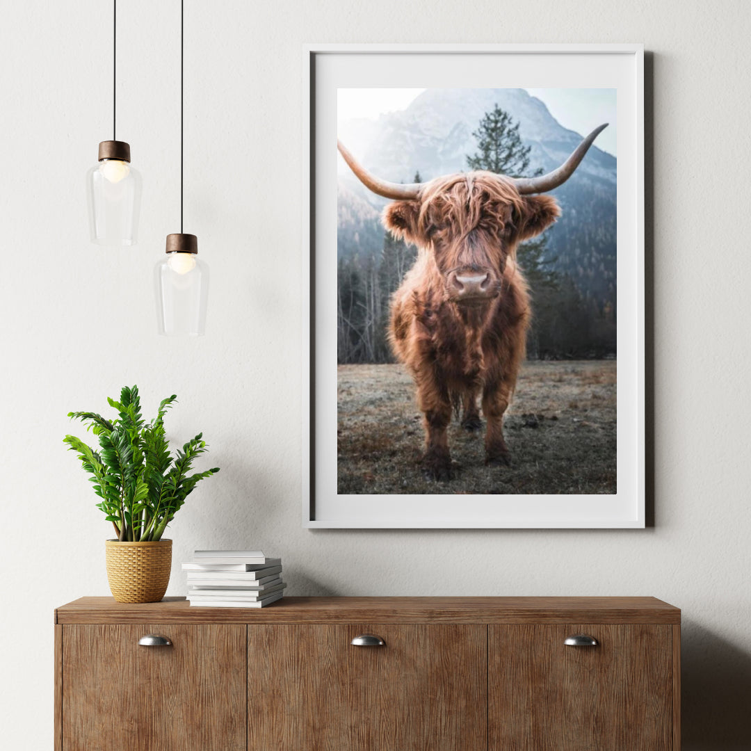 Diamond Painting Scottish Highlander - Scottish Highlander auf einer gefrorenen Wiese in den italienischen Bergen - SEOS Shop ®