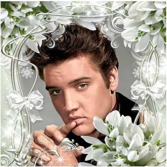 Diamantmalerei Elvis Presley - SEOS Shop ®