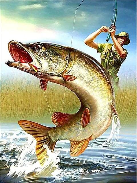 Diamantmalerei Männer fangen Fische - SEOS Shop ®