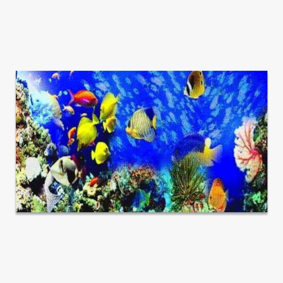 Schöne Fische | Großes Format - SEOS SHOP