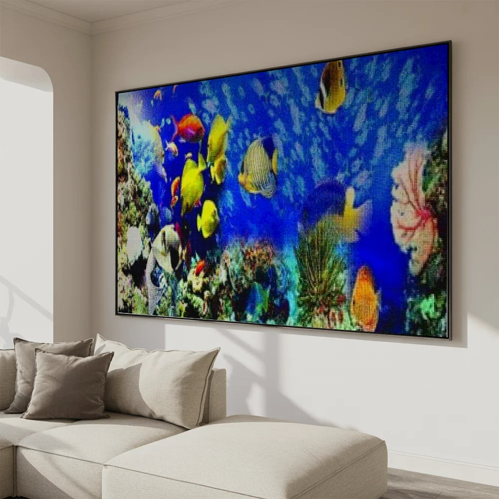 Schöner Fisch | Große Größe - Seos SHOP