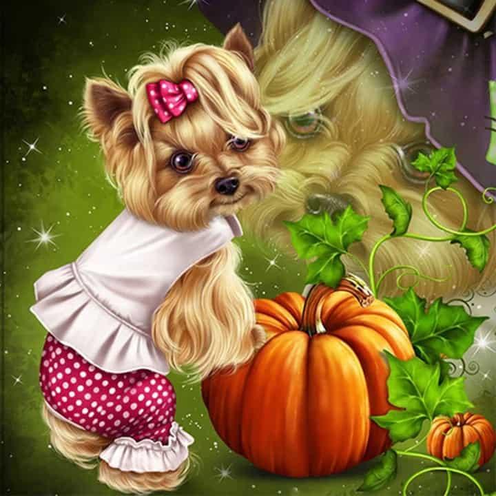 Diamond Painting Yorkshire Terrier - SEOS Shop ®