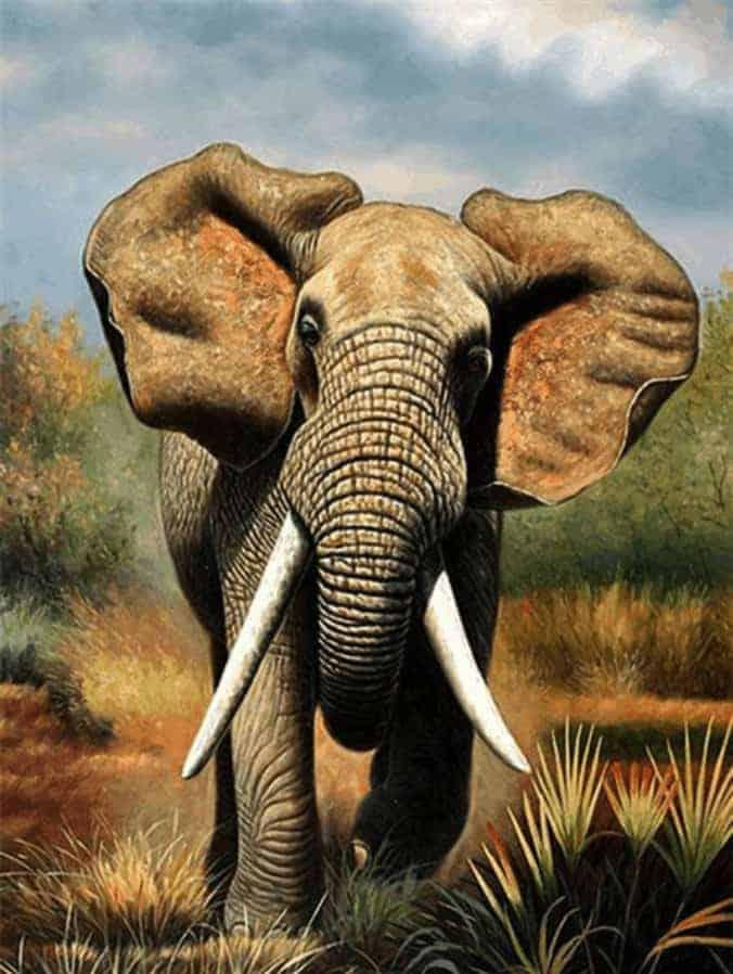 Diamond Painting Laufender Elefant - SEOS Shop ®