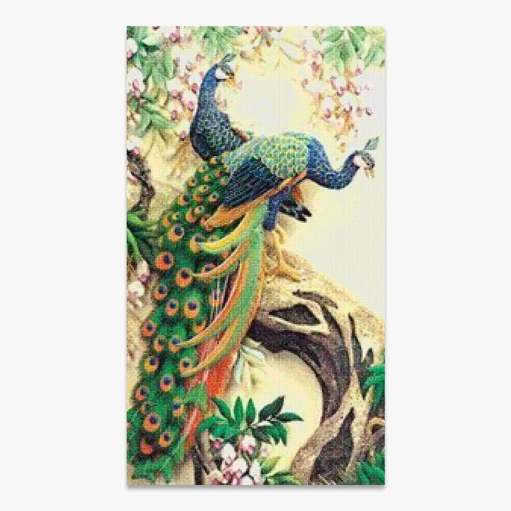 Zwei Pfauen | Große Größe - SEOS Shop ®