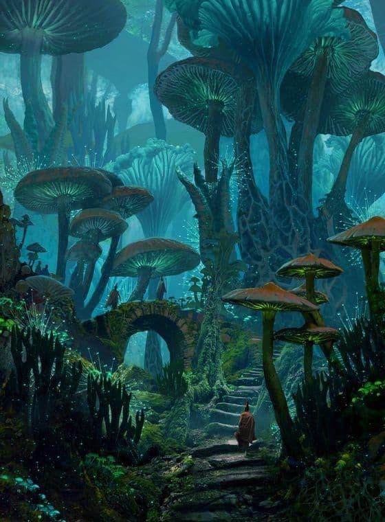 Diamond Painting Große Pilzwelt - SEOS Shop ®