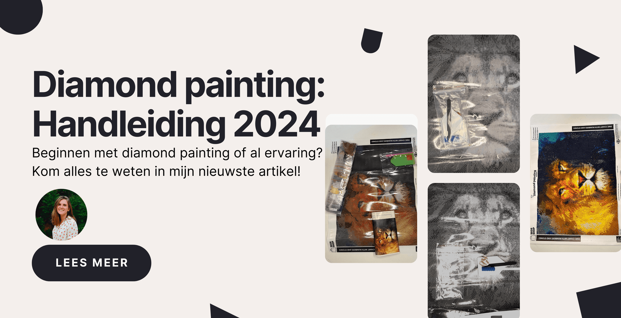 Der Diamond Painting Guide für 2024