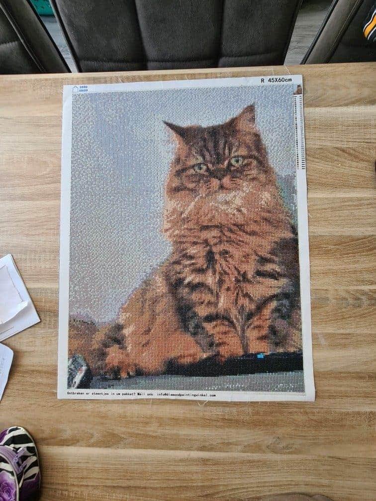Eigenes Foto für Diamond Painting auswählen: Worauf ist zu achten?