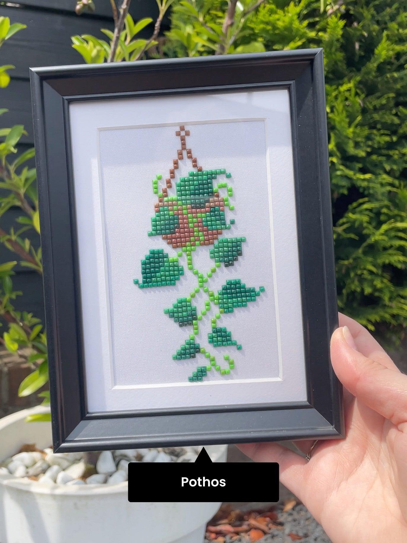 Mini-Meisterwerke – Zimmerpflanzen 2.0 (12er-Set)