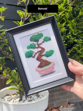 Mini-Meisterwerke – Zimmerpflanzen 2.0 (12er-Set)