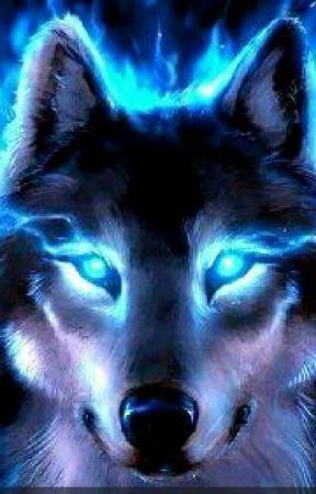 Diamond Painting Beleuchtung Wolf - SEOS Shop ®