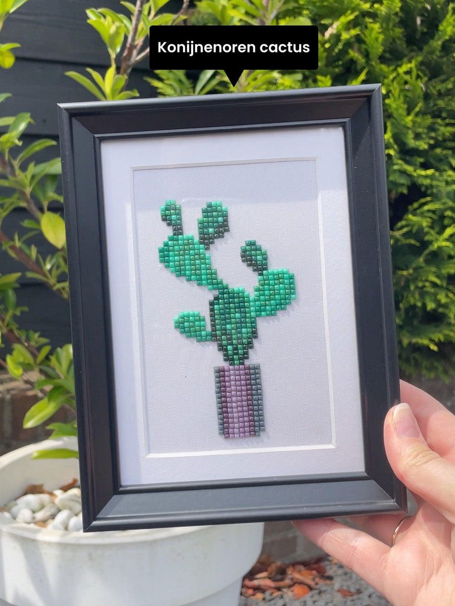 Mini-Meisterwerke – Zimmerpflanzen 2.0 (12er-Set)