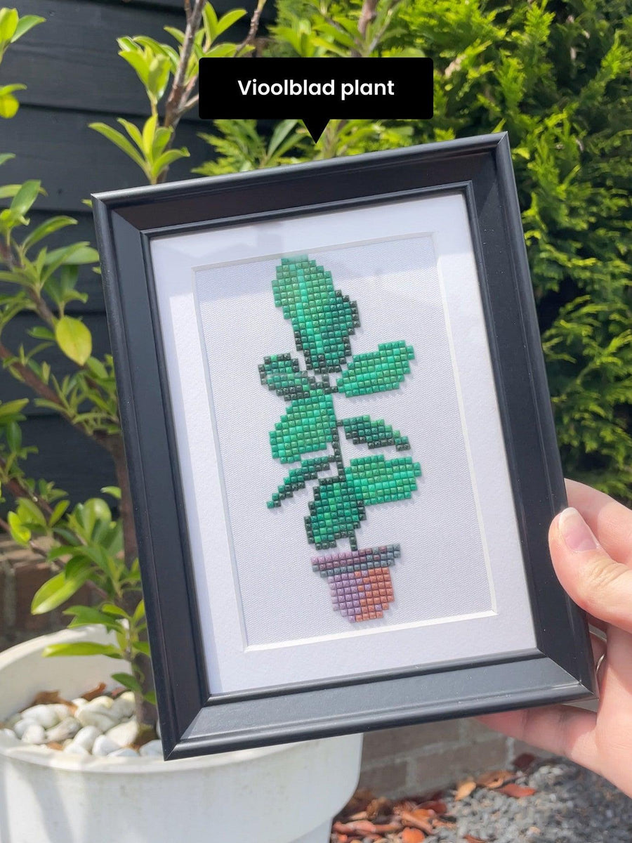 Mini-Meisterwerke – Zimmerpflanzen 2.0 (12er-Set)