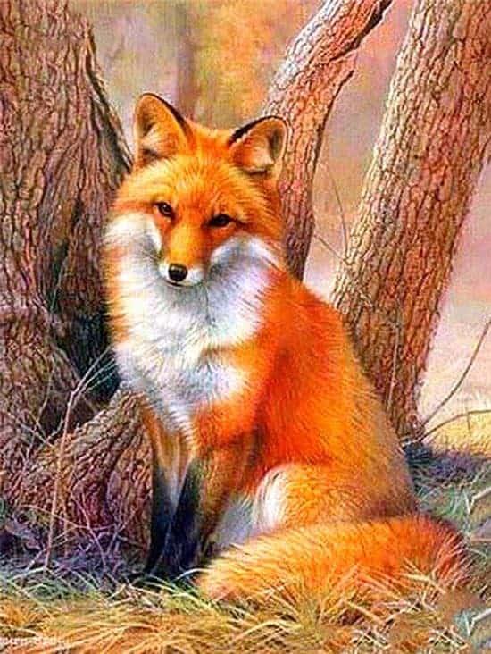 Diamantmalerei Fuchs am Baum - SEOS Shop ®
