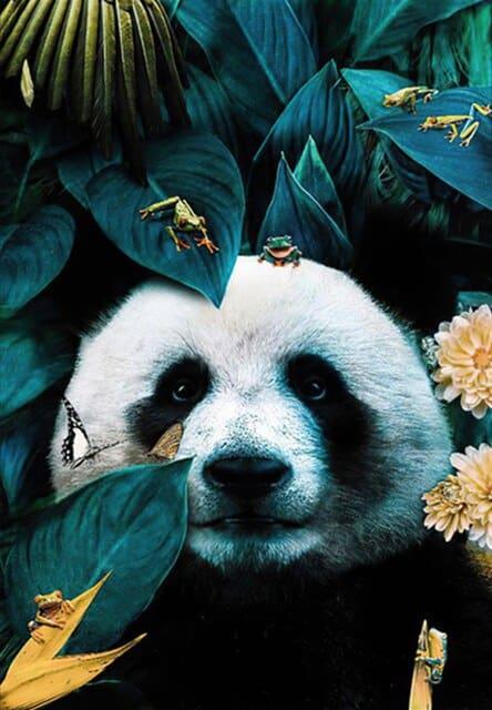 Diamond Painting Bär versteckt - SEOS Shop ®