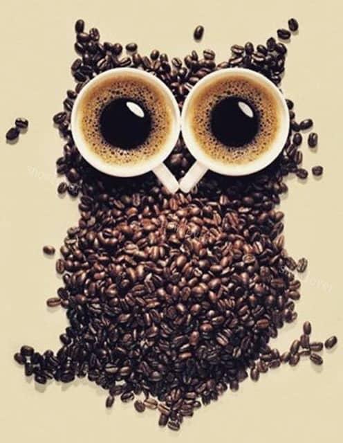 Diamantmalerei Kaffeebohnen-Eule - SEOS Shop ®
