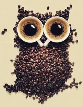 Diamantmalerei Kaffeebohnen-Eule - SEOS Shop ®