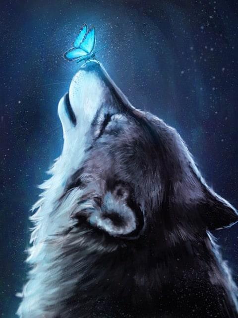 Diamond Painting Wolf mit Schmetterling - SEOS Shop ®