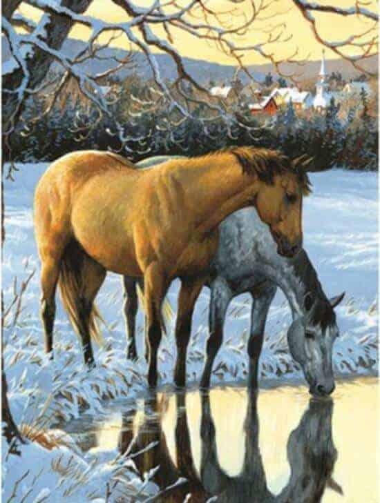 Diamond Painting Pferde trinken Wasser - SEOS Shop ®