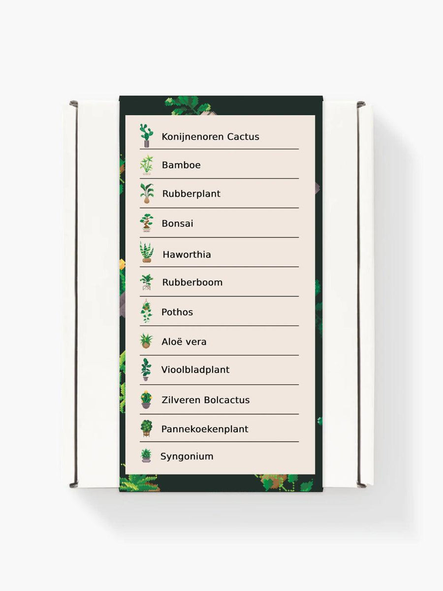 Mini-Meisterwerke – Zimmerpflanzen 2.0 (12er-Set)