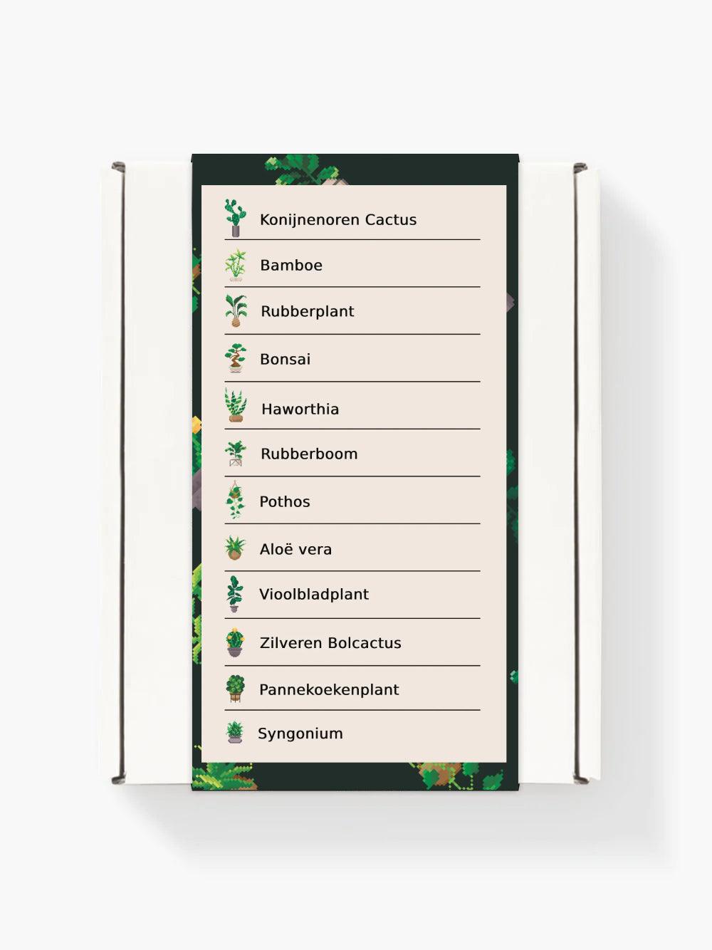 Mini-Meisterwerke – Zimmerpflanzen 2.0 (12er-Set)