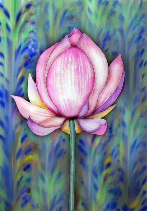 Diamond Painting Blumen Lilie - SEOS Shop ®