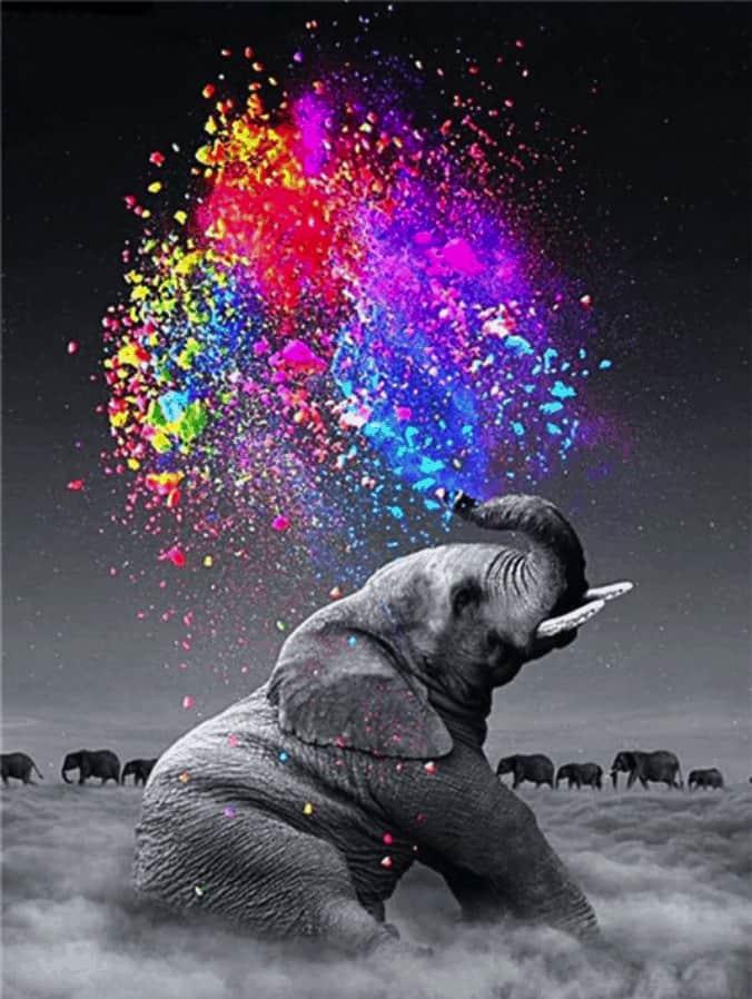 Diamantmalerei Bunter Elefant - SEOS Shop ®