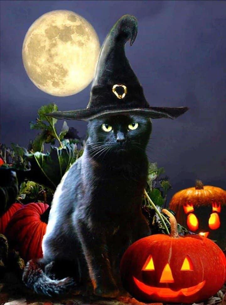 Diamantmalerei Die schwarze Katze - SEOS Shop ®