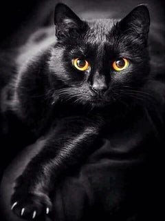 Diamantmalerei Schwarze Katze und gelbe Augen - SEOS Shop ®