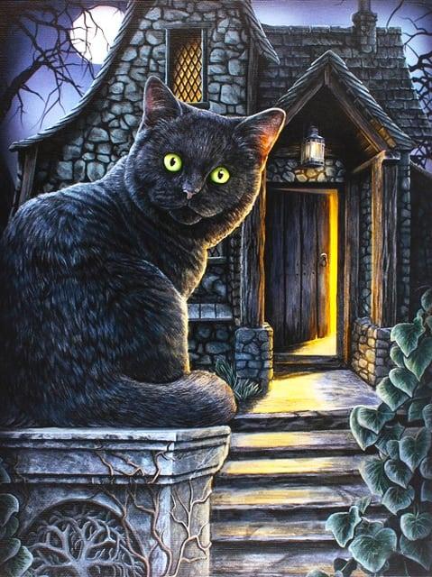 Diamantmalerei Schwarze Katze mit grünen Augen - SEOS Shop ®