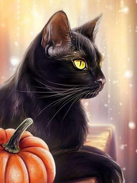 Diamantmalerei Kürbis und schwarze Katze - SEOS Shop ®
