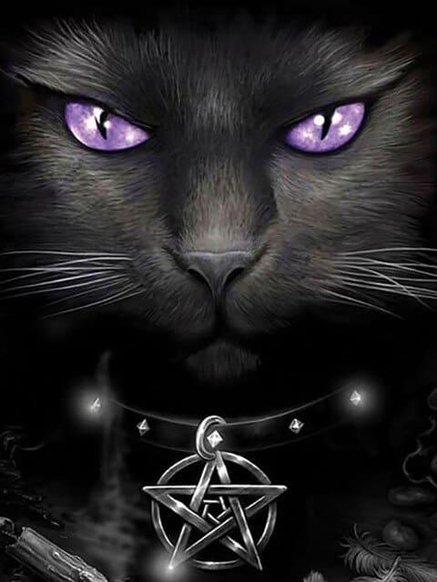 Diamantmalerei Schwarze Katze und lila Augen - SEOS Shop ®