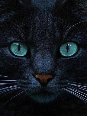 Diamantmalerei Schwarze Katze und blaue Augen - SEOS Shop ®