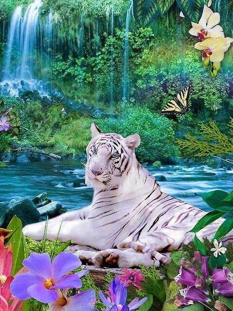 Diamantmalerei Weißer Tiger - SEOS Shop ®