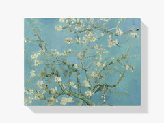 Diamantmalerei Mandelblüte - SEOS Shop ®