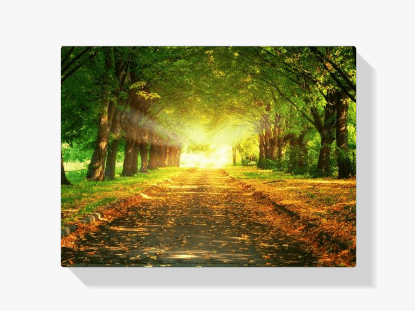 Diamantmalerei Blätter im Wald – SEOS Shop ®