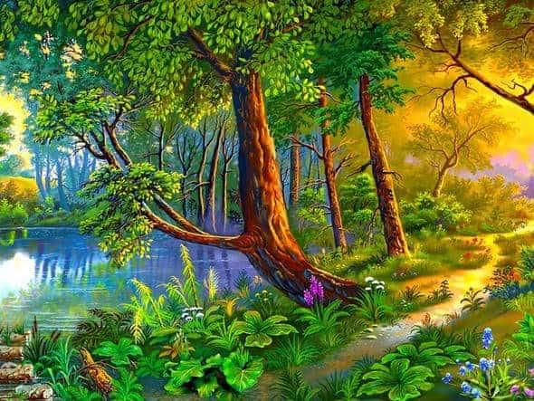 Diamantmalerei Baum am Wasser – SEOS Shop ®