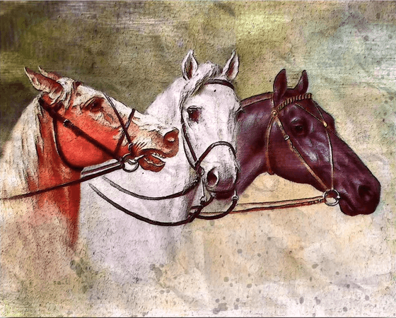 Diamond Painting - Drei Pferde - SEOS®