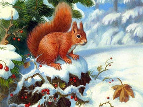 Diamond Painting Eichhörnchen mit Kirschfrucht - SEOS Shop ®