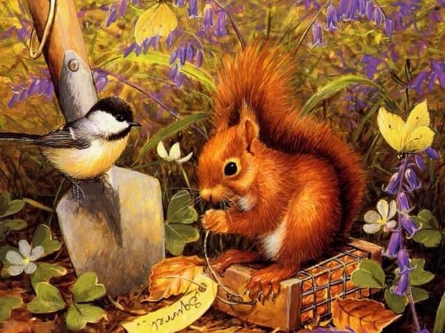 Diamond Painting Eichhörnchen mit Vogel - SEOS Shop ®