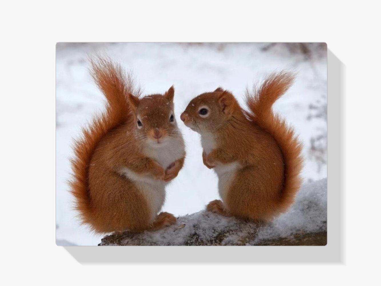 Diamond Painting Eichhörnchenpaar - SEOS Shop ®