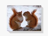 Diamond Painting Eichhörnchenpaar - SEOS Shop ®