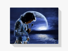 Diamantmalerei Elvis Presley am Abend - SEOS Shop ®