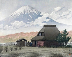 Diamantmalerei - Fuji von Narusawa - SEOS Shop ®